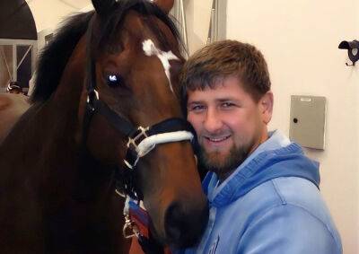 Рамзан Кадыров - Кадыров заявил, что его коня из Чехии под заказ выкрали украинские спецслужбы - vinegret.cz - Крым - респ. Чечня - Чехия - Устецкий край