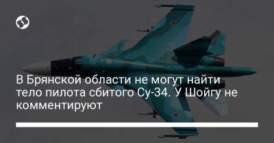В Брянской области не могут найти тело пилота сбитого Су-34. У Шойгу не комментируют