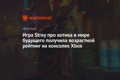 Игра Stray про милого котика в мире киберпанка может выйти на консолях Xbox