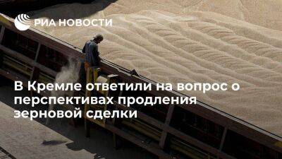 Песков пообещал проинформировать, когда Кремль примет решение по продлению зерновой сделки