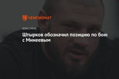 Штырков обозначил позицию по бою с Минеевым