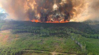 Масштабные лесные пожары в Канаде: проводят массовую эвакуацию и сокращают добычу нефти