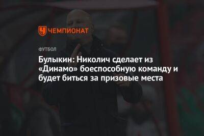 Булыкин: Николич сделает из «Динамо» боеспособную команду и будет биться за призовые места