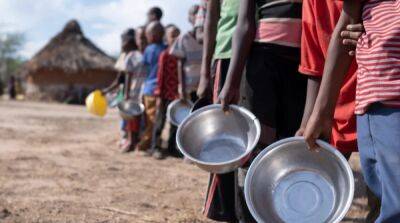 Если зерновое соглашение не продлить, то количество недоедающих в Африке вырастет до 19 миллионов – IRC