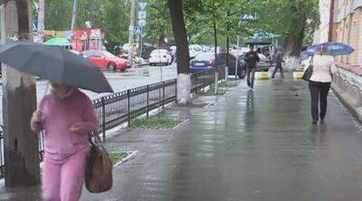 Адская жарища и дожди с грозами: синоптик Диденко предупредила о сложной погоде в среду, 17 мая
