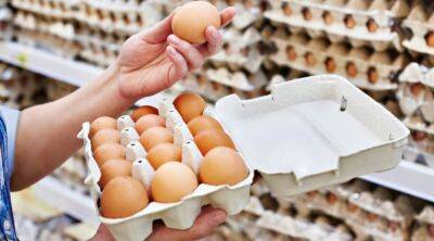 Вот это неожиданность: в Украине резко дешевеют яйца. Какие сейчас цены