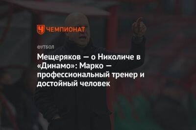 Мещеряков — о Николиче в «Динамо»: Марко — профессиональный тренер и достойный человек