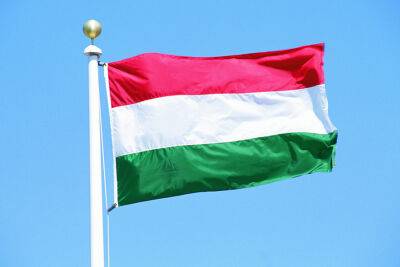 Венгрия в овертайме обыграла Францию на ЧМ-2023