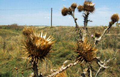 В Тверской области проверили предприятия на соблюдение запрета выжигания сухой травы