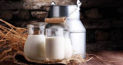 Сельхозпредприятия Брестчины с начала года нарастили производство молока на 8,2 %