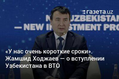 «У нас очень короткие сроки». Жамшид Ходжаев — о вступлении Узбекистана в ВТО