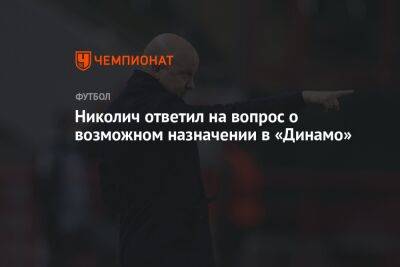 Николич ответил на вопрос о возможном назначении в «Динамо»