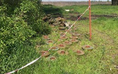 На Харьковщине саперы уничтожили тысячу мин для возобновления электричества