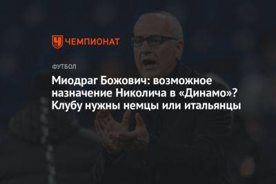 Миодраг Божович: возможное назначение Николича в «Динамо»? Клубу нужны немцы или итальянцы