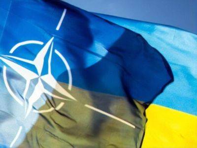 200 000 врагов "грузом 200" – это доказательство, что Украина уже прошла "испытательный срок" для вступления в НАТО – Палатный