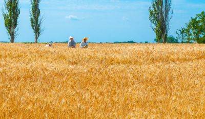 Соглашение о вывозе украинского зерна продлено на два месяца