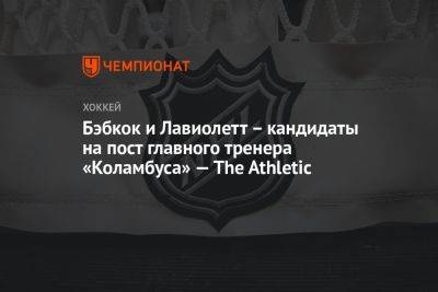 Бэбкок и Лавиолетт – кандидаты на пост главного тренера «Коламбуса» — The Athletic