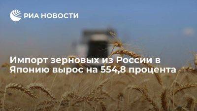 Импорт зерновых из России в Японию по сравнению с 2022 годом вырос на 554,8 процента
