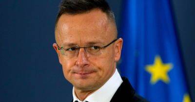 Украина угрожает суверенитету Венгрии, — МИД страны