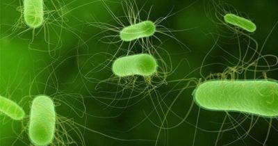 Худший кошмар супербактерий: возрождение давно забытого антибиотика