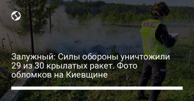 Залужный: Силы обороны уничтожили 29 из 30 крылатых ракет. Фото обломков на Киевщине