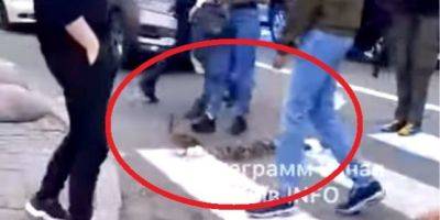 В Киеве патрульные перекрыли движение, чтобы перевести через дорогу выводок утят — видео