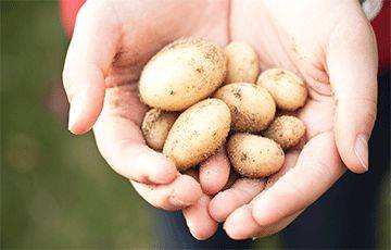 Чем отмыть руки после чистки молодого картофеля: действенные способы