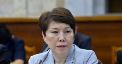 Садыр Жапаров - Депутат заявила, что в России продаются кыргызские паспорта - dialog.tj - Россия - США - Украина - Киргизия