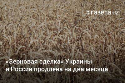 «Зерновая сделка» Украины и России продлена на два месяца