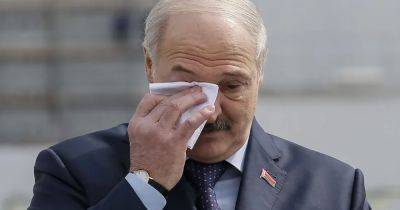 "Нет и быть не может, это просто безумство": Лукашенко высказался о контрнаступлении и попросил переговоров