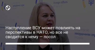 Наступление ВСУ может повлиять на перспективы в НАТО, но все не сводится к нему — посол - liga.net - Украина - Вильнюс