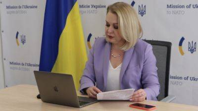 Глава миссии Украины при НАТО: не нужно возлагать все надежды на одно контрнаступление - pravda.com.ua - Украина