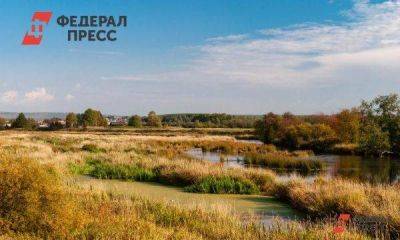 «Уралбройлер» в Аргаяшском районе оштрафовали за сброс сточных вод в болото