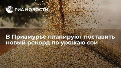 Власти Амурской области сообщили о планах поставить в 2023 году рекорд по урожаю сои