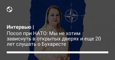 Интервью | Посол при НАТО: Мы не хотим зависнуть в открытых дверях и еще 20 лет слушать о Бухаресте
