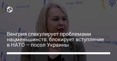 Йенс Столтенберг - Венгрия спекулирует проблемами нацменьшинств, блокирует вступление в НАТО – посол Украины - liga.net - Украина - Венгрия - Вильнюс