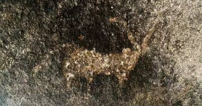 Под защитой ленивцев: древние наскальные рисунки рассказывают о культуре эпохи мезолита (фото)