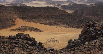 Расшифровка пустынных змеев: ученые объяснили, что скрывают доисторические чудеса Ближнего Востока