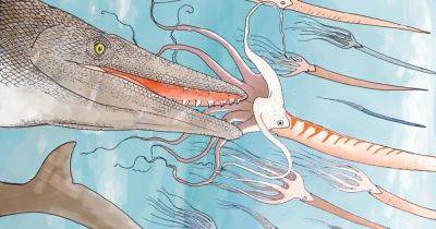 Чудище из глубин океана. Ученые нашли окаменелости древнего морского хищника с зубами "отвертками"