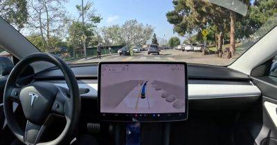 Восстание машин: автопилот Tesla проигнорировал пешехода прямо на переходе (видео)