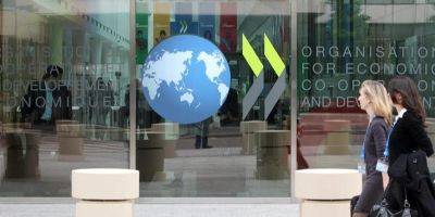 Украина присоединилась к глобальной базе ОЭСР — открывает данные о доходах