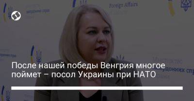 После нашей победы Венгрия многое поймет – посол Украины при НАТО