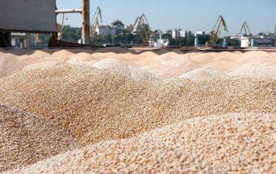 У Украины осталось 10 млн тонн зерна на экспорт