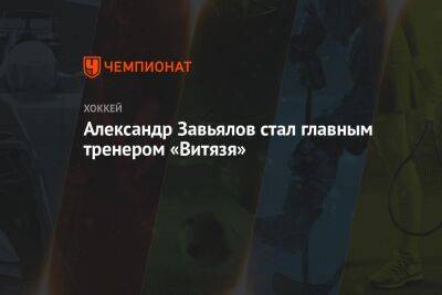 Александр Завьялов - Александр Завьялов стал главным тренером «Витязя» - championat.com - Россия - Московская обл.