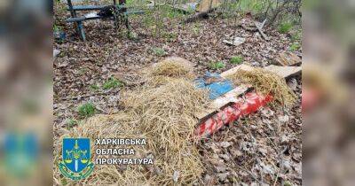 Убийство под Харьковом: мужчина ударил друга сына в грудь ножом и спрятал тело под досками и соломой.