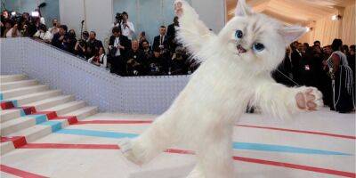 Впечатляющие образы. Джаред Лето, Lil Nas X и Doja Cat выбрали костюм кошки Карла Лагерфельда на Met Gala 2023