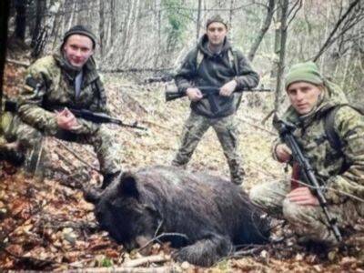 Ужанский национальный природный парк обвинил пограничников в убийстве медведицы. В ГПСУ отреагировали