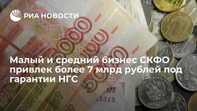 Малый и средний бизнес СКФО привлек более 7 млрд рублей под гарантии НГС
