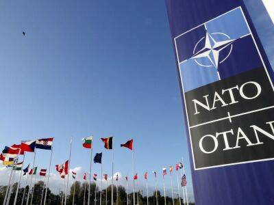 США и Германия пока не хотят конкретных решений в вопросе членства Украины в НАТО - СМИ