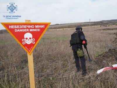 В Херсонской области во время разминирования подорвался сапер – ОВА